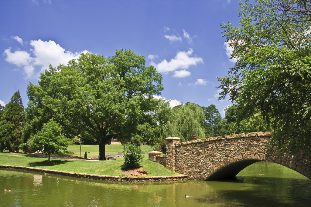 Freedom Park in the Summer at Charlotte